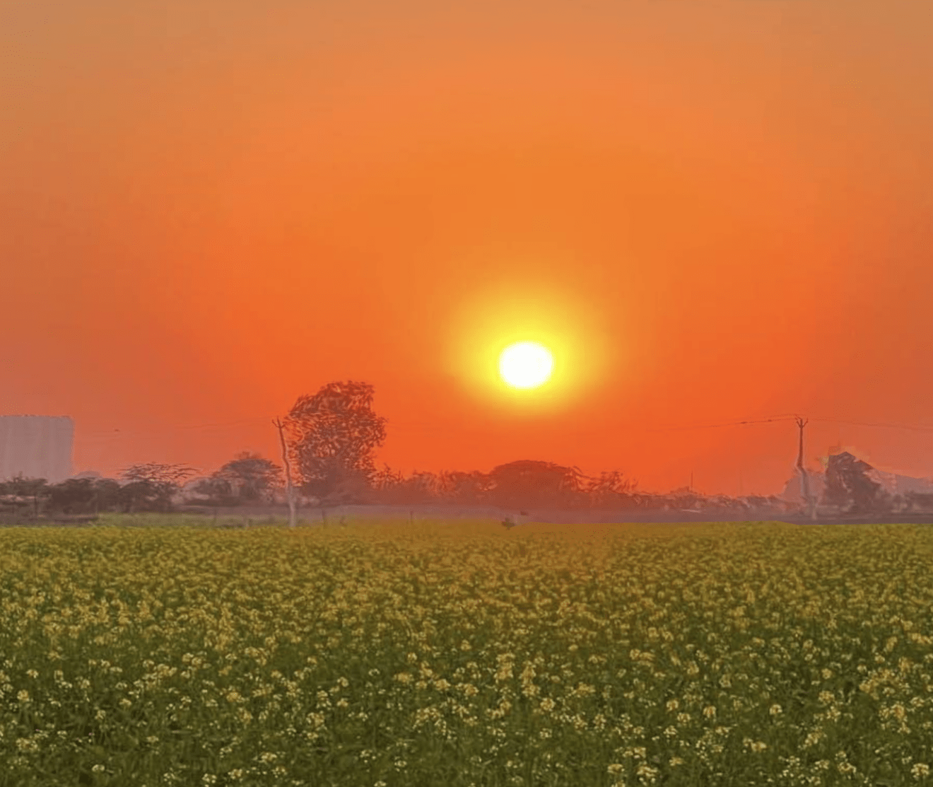 Alcuni dotti devoti dicono che Navadvipa è identica alla terra di Vrindavana