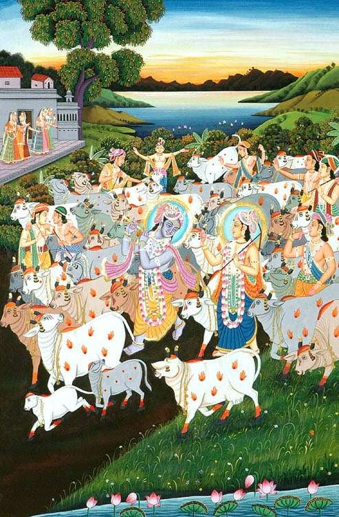 Vidagdha is Exceedingly Dear to Krishna