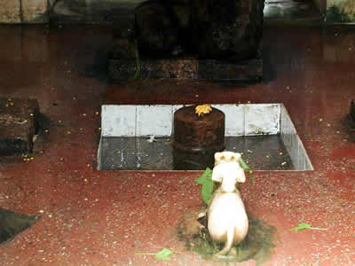 Sugli Shiva Lingam